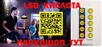 прущие грибы Новодвинск