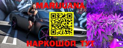 прущие грибы Новодвинск