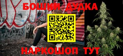 прущие грибы Новодвинск