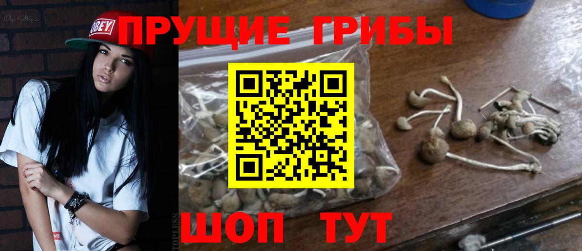 Галлюциногенные грибы Magic Shrooms  купить наркотик  Вход с VPN  Черкесск  Галлюциногенные грибы ЛСД 