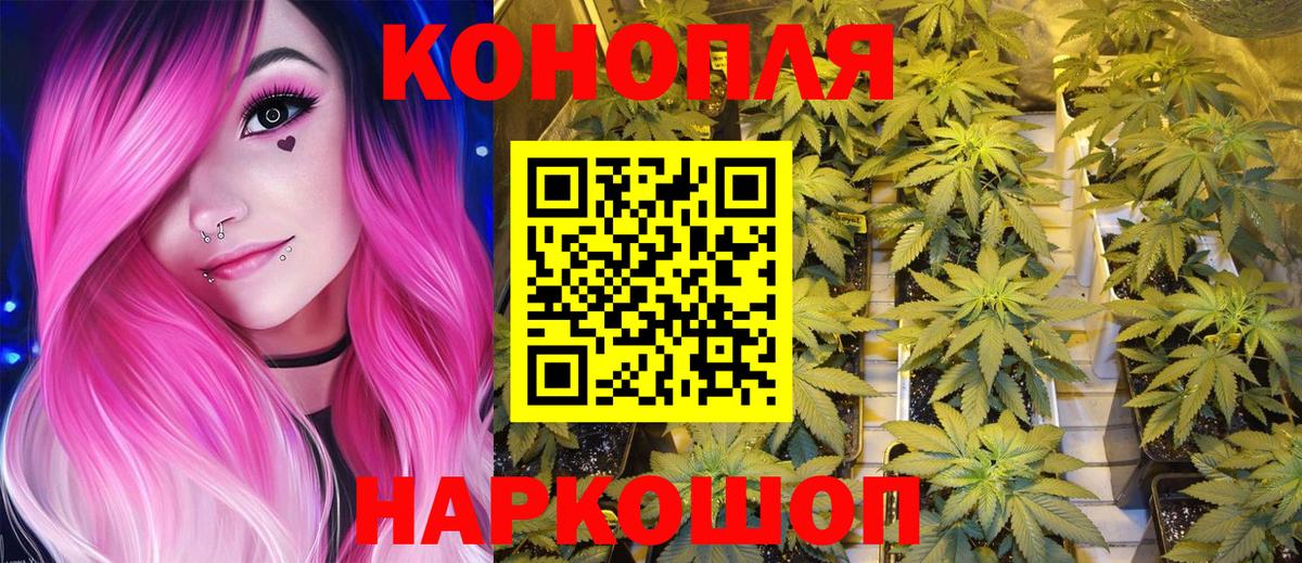 Бошки марихуана план Черкесск